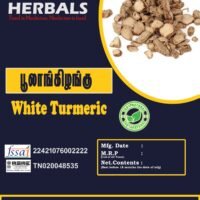 White Turmeric/ poolankilangu (100GM)