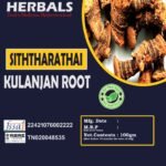 Siththarathai Root/Chitharathai root/Sugandhvastra/Kuruv/Kulanjan/Karchura Kacchilu(100gm)