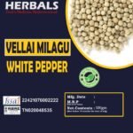 Vellai Milagu/ Safed Mirch/ Telupu Miriyalu (100gmS)