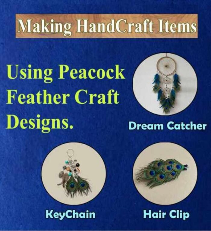 ABS Herbals: Natural Peacock Feather, Peacock Tail, Mayil Iragu, Mor Pankh, Mayil Pacchai, Navilina Rekke, Mor Pinchh, for Decoration & Craft,Art, Fashion & Accessories Feather(Pack of 15 Pieces). - Image 5